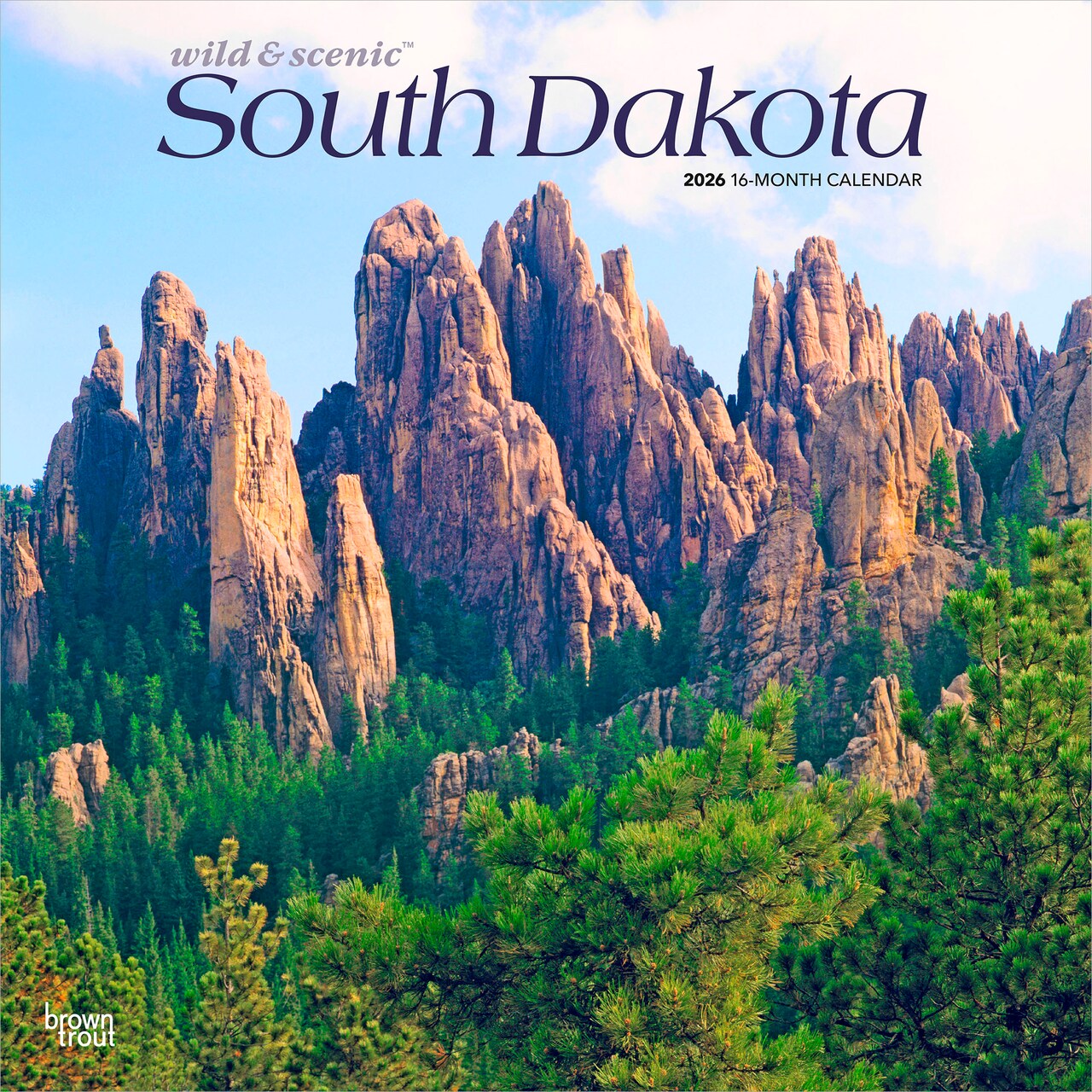 South Dakota Wild & Scenic | 2026 12 x 24 Inch (Hanging) Monthly Square Wall Calendar | Plastic-Free